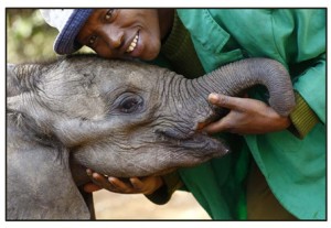 baby elephant w- keeper