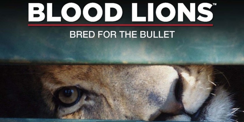 bloodlions