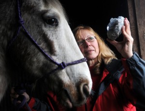 healing horses