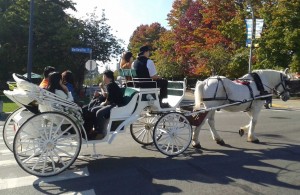 horse-drawn-carriage