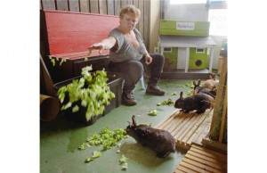 Rabbitats volunteer Deanna Hamm with rabbits rescued from around Richmond Auto Mall. Photo courtesy of Vancouver Sun