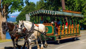 stanley-horse-carriage
