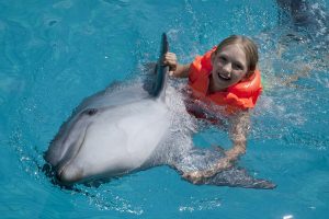 swim-with-dolphins