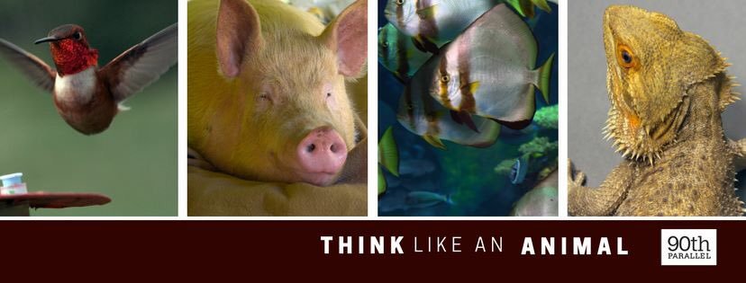 think-like-an-animal