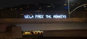 ucla