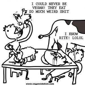 vegan-sidekick-vegans-weird