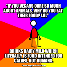 vegan-sidekick