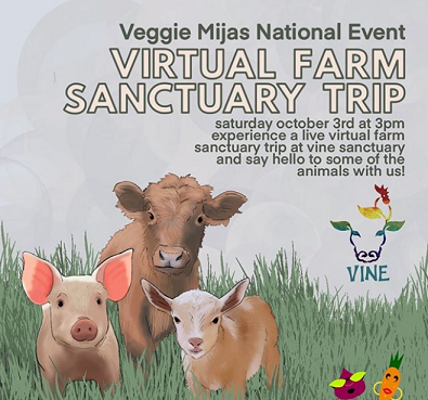 Image of a young pink pig, a brown calf, and a brown and white lamb standing in the grass together. Text reads: Veggie Mijas National Event. Virtual Farm Sanctuary Trip. Saturday October 3rd at 3pm. Experience a live virtual farm sanctuary trip and say hello to some of the animals with us!