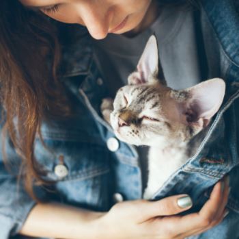 Woman peers lovingly down at a small taupe and cream tabby cat who has their eyes narrowed in bliss. The cat is in the woman's jean jacket and held by her hand.