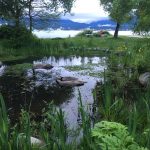A picture of the bird marsh at CRAB Park at Portside. There is a shallow freshwater pool with lush green foliage surrouding it and a view of the Burrard inlet in the backround