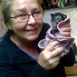 VOKRA Director Maria Soroski with Young Kitten