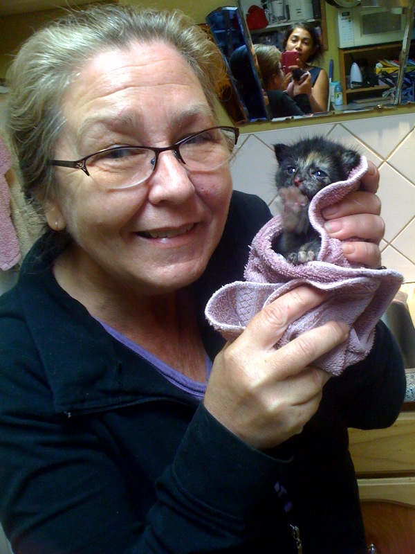 VOKRA Director Maria Soroski with Young Kitten